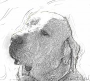 Превью фото № 192710