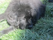 Превью фото № 192820