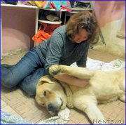 Превью фото № 192864