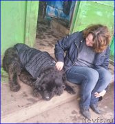 Превью фото № 192870