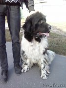 Превью фото № 192877