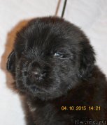 Превью фото № 192889