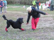 Превью фото № 192922