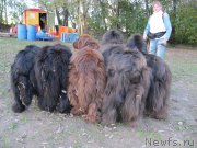 Превью фото № 192924