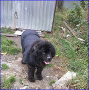 Превью фото № 192929