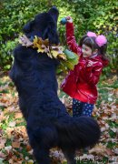 Превью фото № 192944