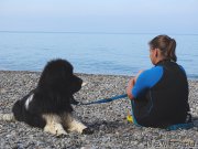 Превью фото № 192994