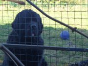 Превью фото № 193008