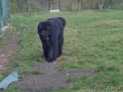 Превью фото № 193010