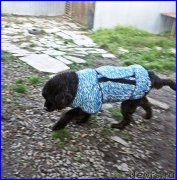 Превью фото № 193048