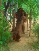 Превью фото № 193067