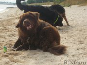 Превью фото № 193197