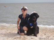 Превью фото № 193203