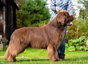 Превью фото № 193241