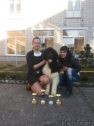 Превью фото № 193257