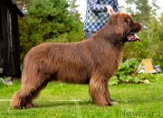 Превью фото № 193281