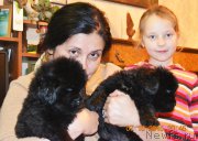 Превью фото № 193298