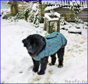 Превью фото № 193317