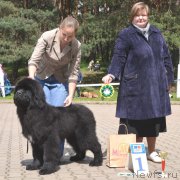 Превью фото № 193657