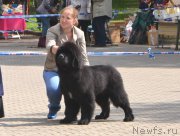 Превью фото № 193659