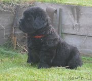 Превью фото № 193669