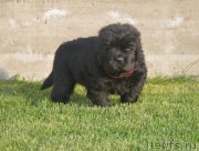 Превью фото № 193676