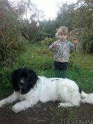 Превью фото № 193682