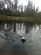 Превью фото № 193684