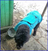 Превью фото № 193777