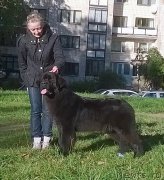 Превью фото № 193821