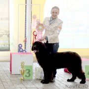 Превью фото № 193822