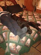 Превью фото № 193837