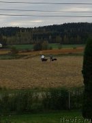 Превью фото № 193838