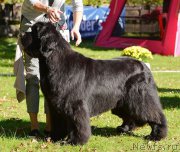 Превью фото № 193841