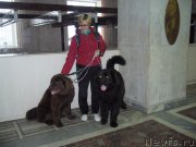 Превью фото № 193842