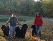 Превью фото № 194006