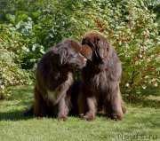 Превью фото № 194051