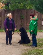 Превью фото № 194076