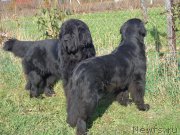 Превью фото № 194103