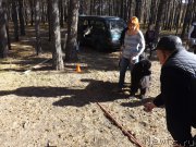 Превью фото № 194113