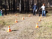 Превью фото № 194114