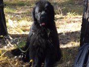 Превью фото № 194118