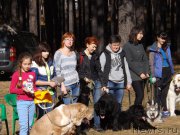 Превью фото № 194135