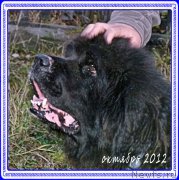 Превью фото № 194139