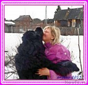 Превью фото № 194142