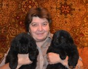 Превью фото № 194151