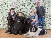 Превью фото № 194207