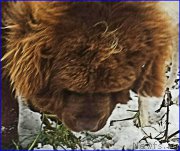 Превью фото № 194289