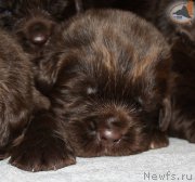 Превью фото № 194314