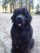 Превью фото № 194339